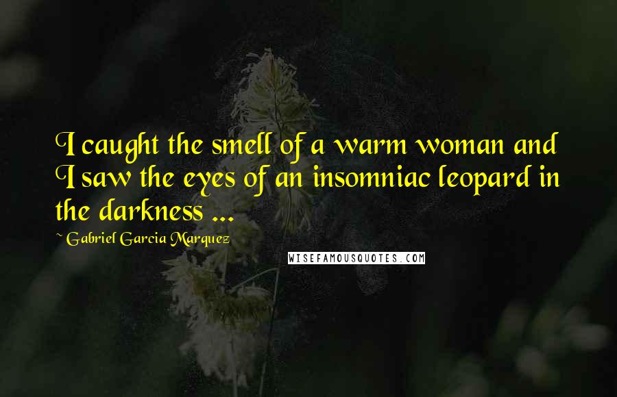 Gabriel Garcia Marquez Quotes: I caught the smell of a warm woman and I saw the eyes of an insomniac leopard in the darkness ...