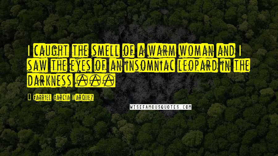 Gabriel Garcia Marquez Quotes: I caught the smell of a warm woman and I saw the eyes of an insomniac leopard in the darkness ...