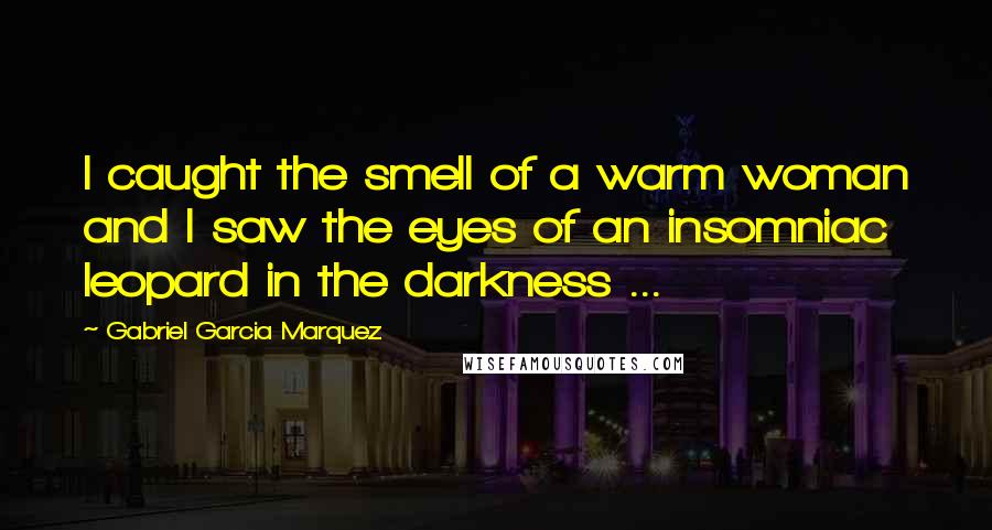 Gabriel Garcia Marquez Quotes: I caught the smell of a warm woman and I saw the eyes of an insomniac leopard in the darkness ...