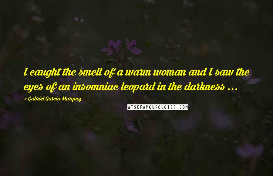 Gabriel Garcia Marquez Quotes: I caught the smell of a warm woman and I saw the eyes of an insomniac leopard in the darkness ...