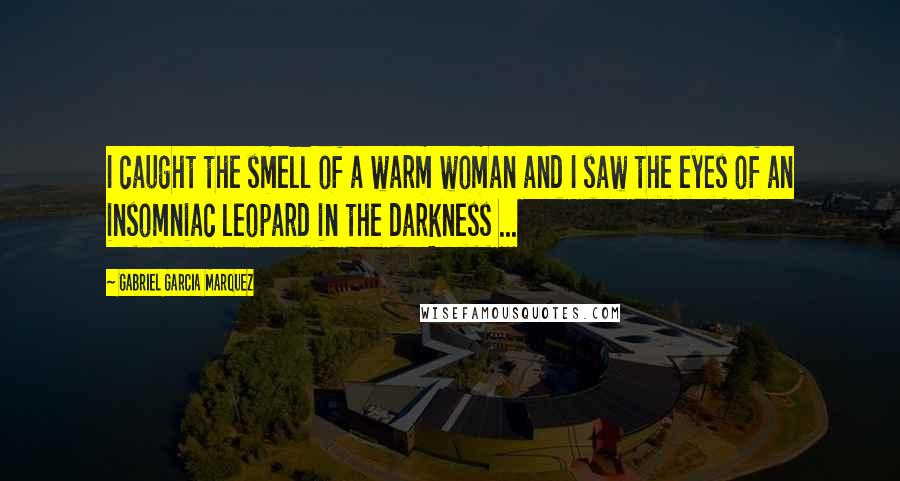 Gabriel Garcia Marquez Quotes: I caught the smell of a warm woman and I saw the eyes of an insomniac leopard in the darkness ...