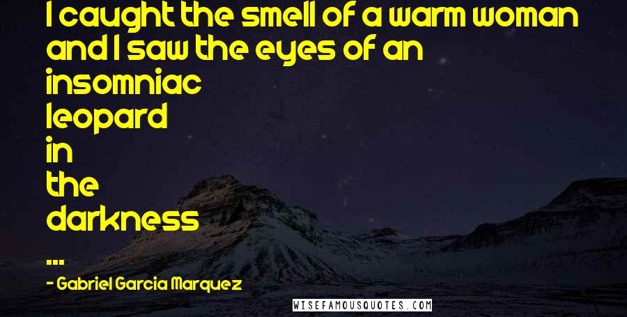 Gabriel Garcia Marquez Quotes: I caught the smell of a warm woman and I saw the eyes of an insomniac leopard in the darkness ...