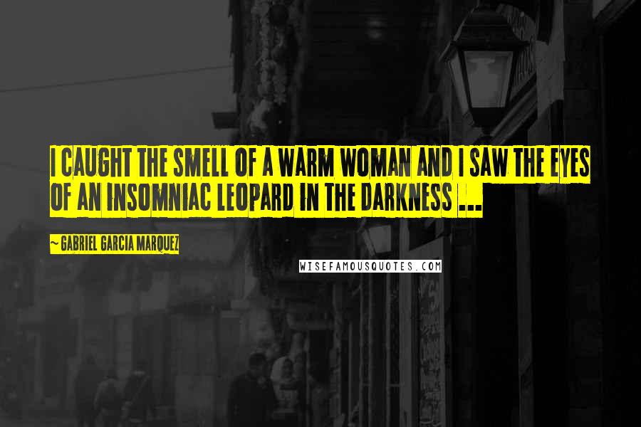 Gabriel Garcia Marquez Quotes: I caught the smell of a warm woman and I saw the eyes of an insomniac leopard in the darkness ...