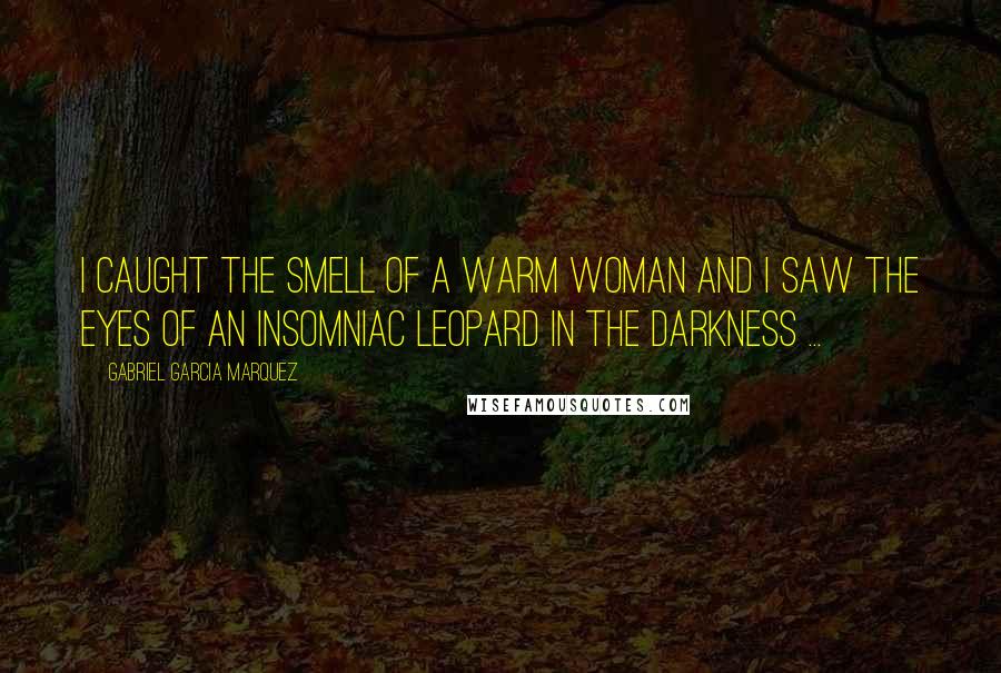 Gabriel Garcia Marquez Quotes: I caught the smell of a warm woman and I saw the eyes of an insomniac leopard in the darkness ...