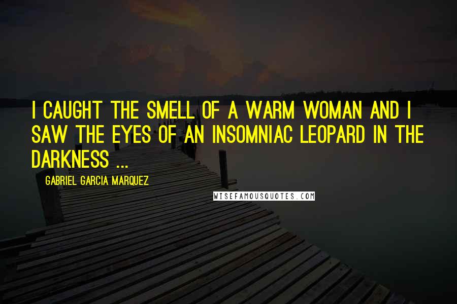 Gabriel Garcia Marquez Quotes: I caught the smell of a warm woman and I saw the eyes of an insomniac leopard in the darkness ...