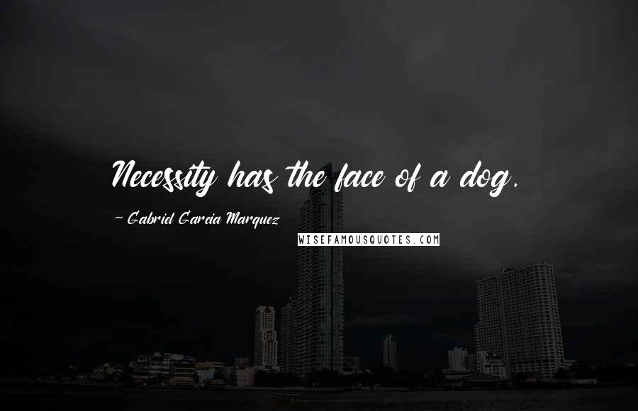 Gabriel Garcia Marquez Quotes: Necessity has the face of a dog.