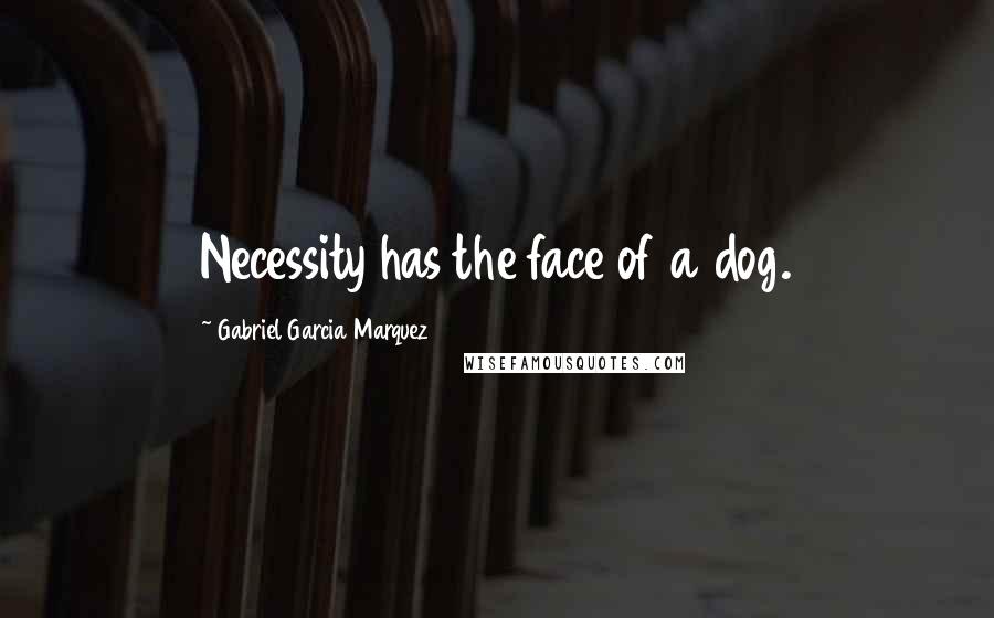 Gabriel Garcia Marquez Quotes: Necessity has the face of a dog.