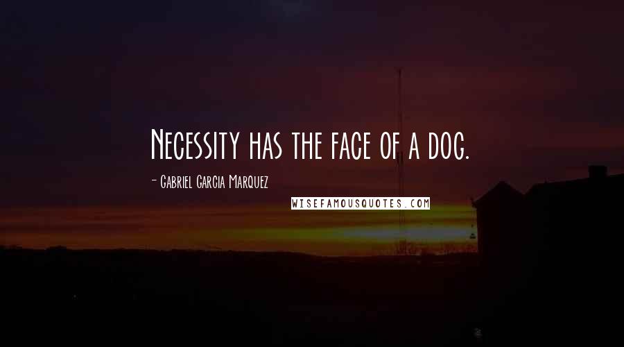 Gabriel Garcia Marquez Quotes: Necessity has the face of a dog.