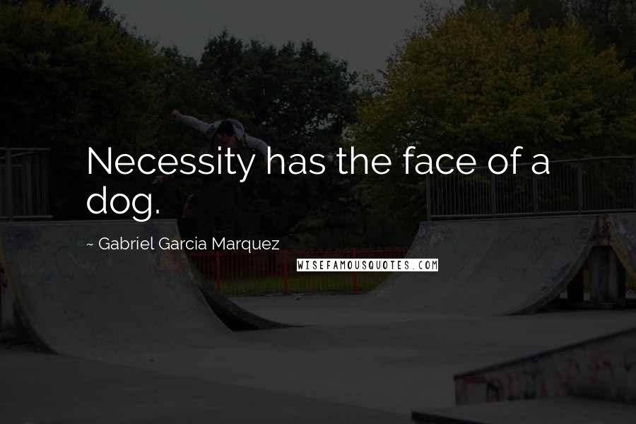 Gabriel Garcia Marquez Quotes: Necessity has the face of a dog.