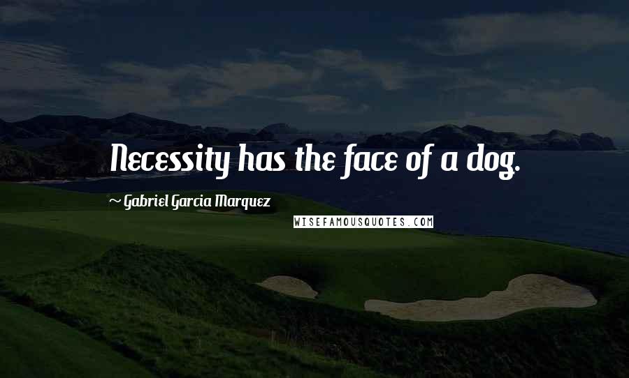 Gabriel Garcia Marquez Quotes: Necessity has the face of a dog.