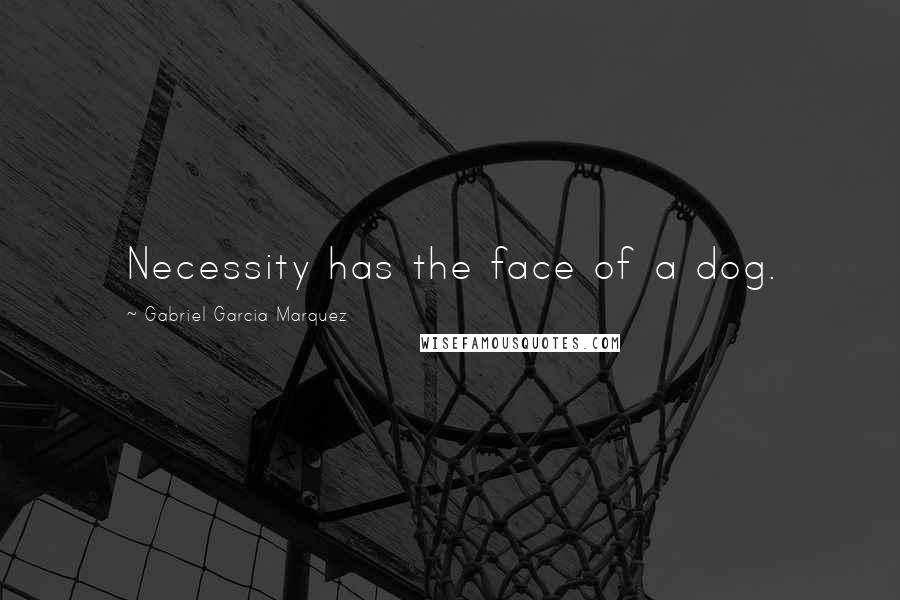 Gabriel Garcia Marquez Quotes: Necessity has the face of a dog.