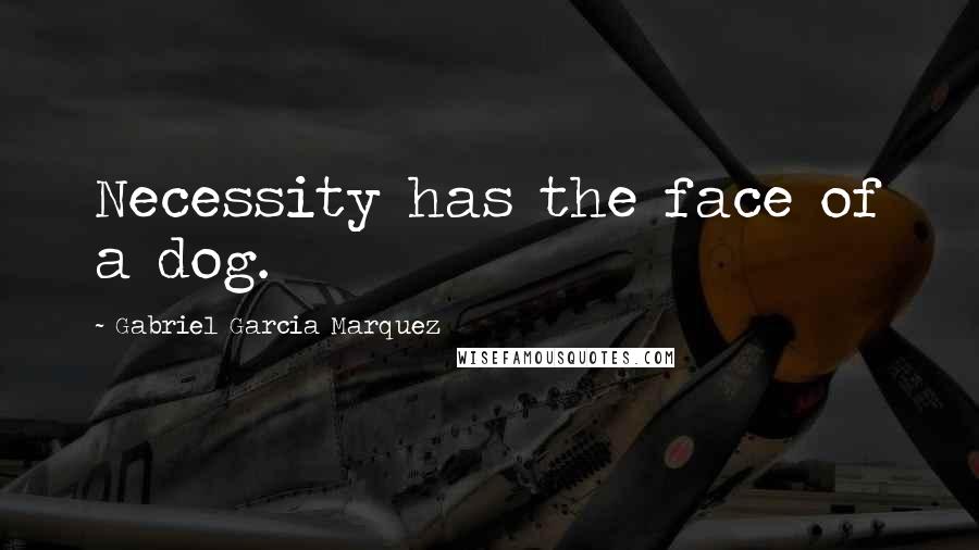 Gabriel Garcia Marquez Quotes: Necessity has the face of a dog.