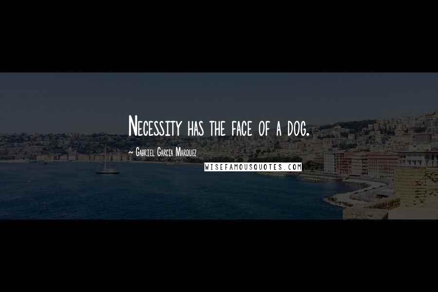Gabriel Garcia Marquez Quotes: Necessity has the face of a dog.