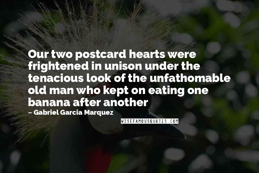 Gabriel Garcia Marquez Quotes: Our two postcard hearts were frightened in unison under the tenacious look of the unfathomable old man who kept on eating one banana after another