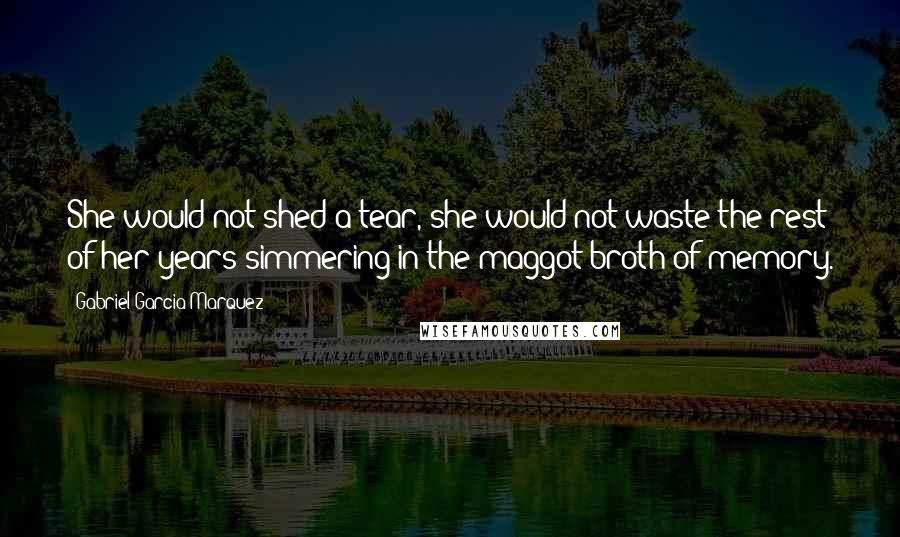 Gabriel Garcia Marquez Quotes: She would not shed a tear, she would not waste the rest of her years simmering in the maggot broth of memory.
