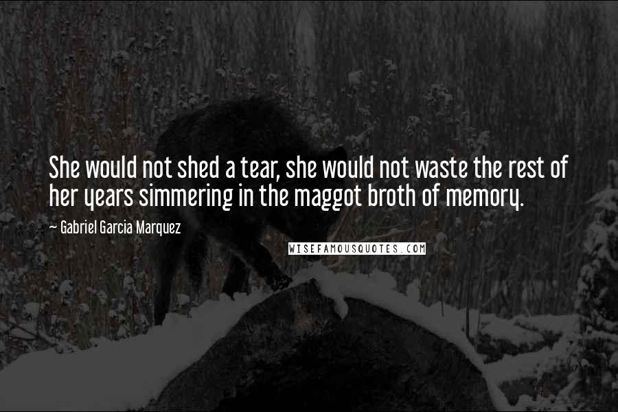Gabriel Garcia Marquez Quotes: She would not shed a tear, she would not waste the rest of her years simmering in the maggot broth of memory.