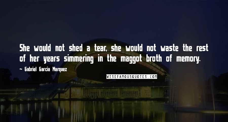 Gabriel Garcia Marquez Quotes: She would not shed a tear, she would not waste the rest of her years simmering in the maggot broth of memory.