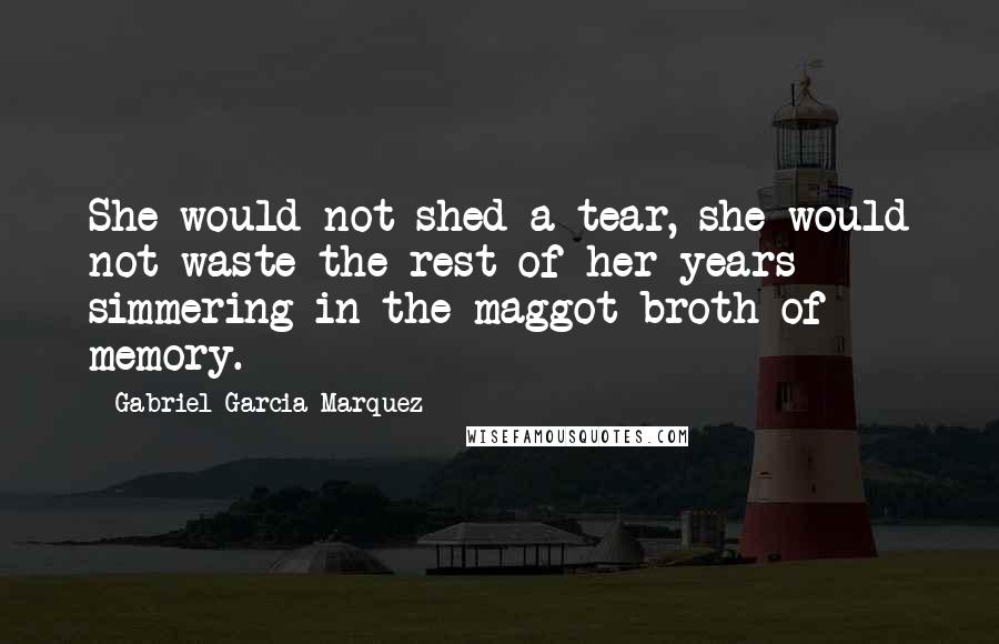 Gabriel Garcia Marquez Quotes: She would not shed a tear, she would not waste the rest of her years simmering in the maggot broth of memory.