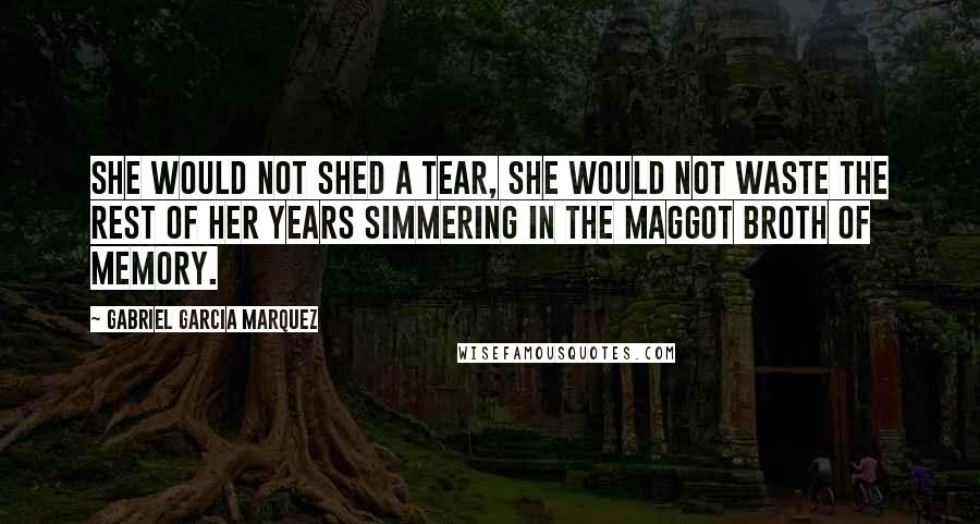 Gabriel Garcia Marquez Quotes: She would not shed a tear, she would not waste the rest of her years simmering in the maggot broth of memory.