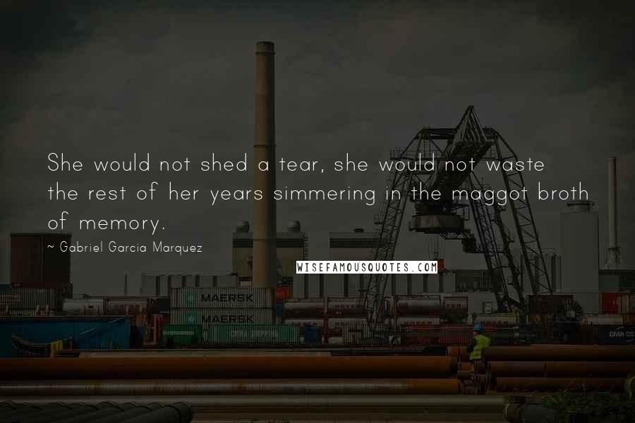 Gabriel Garcia Marquez Quotes: She would not shed a tear, she would not waste the rest of her years simmering in the maggot broth of memory.