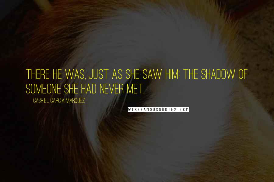 Gabriel Garcia Marquez Quotes: There he was, just as she saw him: the shadow of someone she had never met.