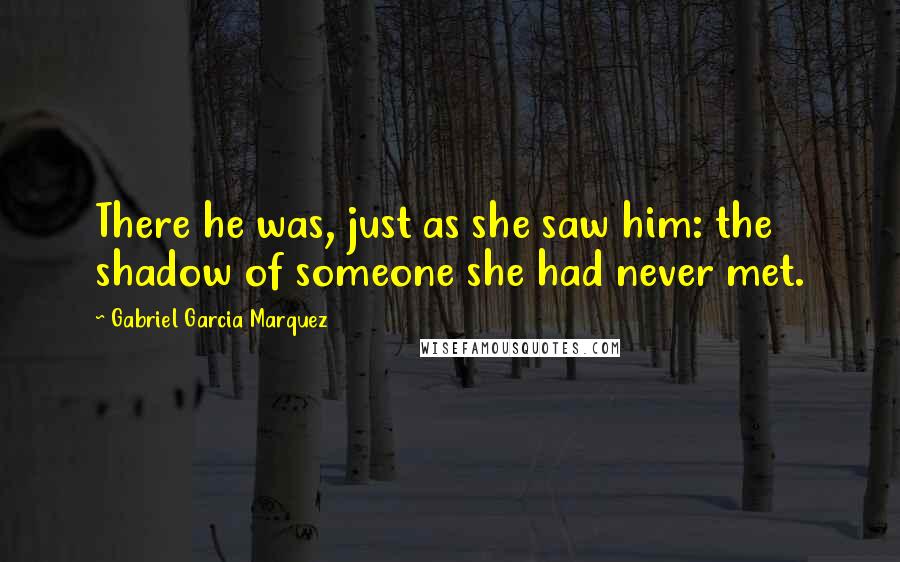 Gabriel Garcia Marquez Quotes: There he was, just as she saw him: the shadow of someone she had never met.