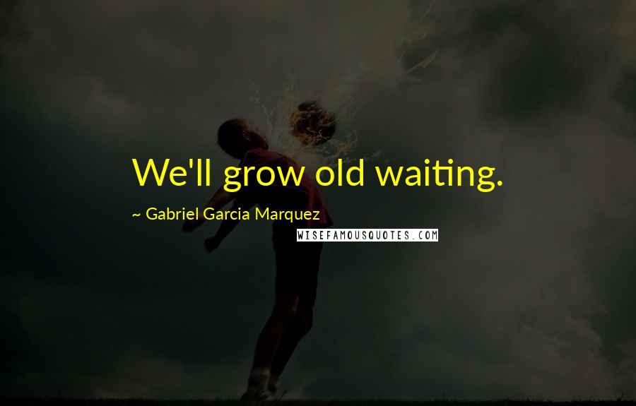 Gabriel Garcia Marquez Quotes: We'll grow old waiting.