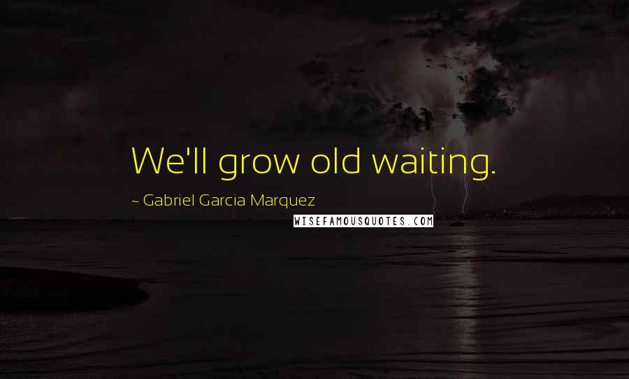 Gabriel Garcia Marquez Quotes: We'll grow old waiting.
