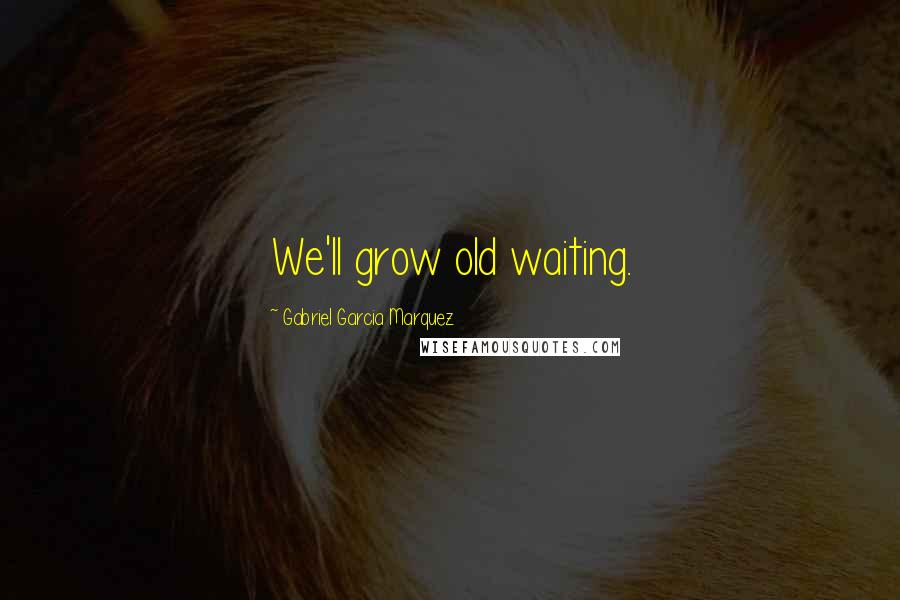 Gabriel Garcia Marquez Quotes: We'll grow old waiting.