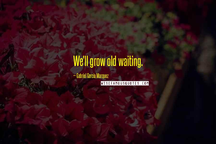 Gabriel Garcia Marquez Quotes: We'll grow old waiting.