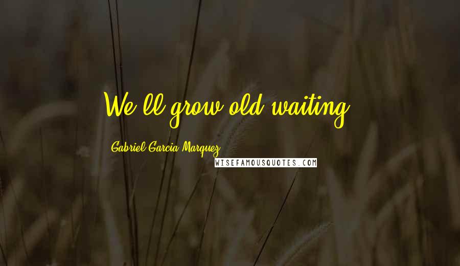 Gabriel Garcia Marquez Quotes: We'll grow old waiting.