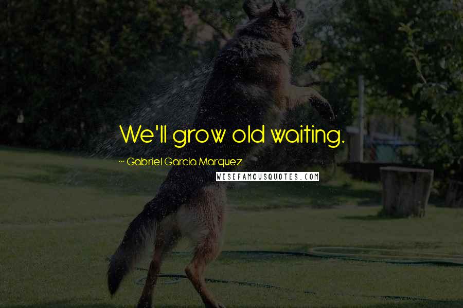 Gabriel Garcia Marquez Quotes: We'll grow old waiting.