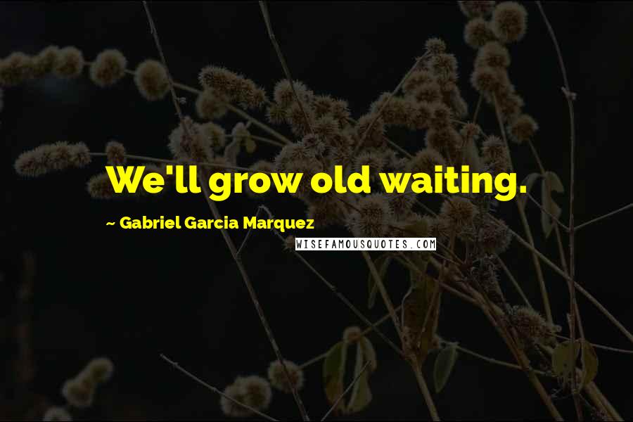 Gabriel Garcia Marquez Quotes: We'll grow old waiting.