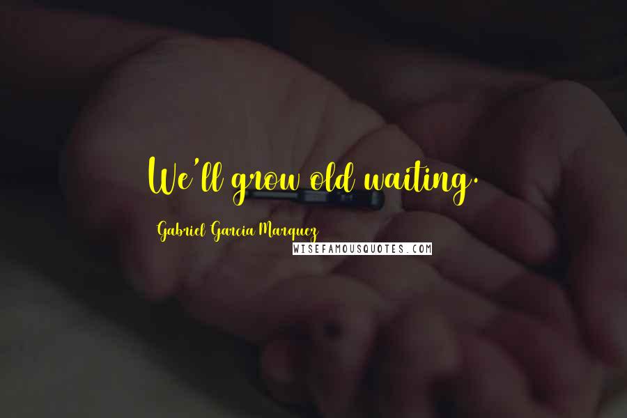 Gabriel Garcia Marquez Quotes: We'll grow old waiting.