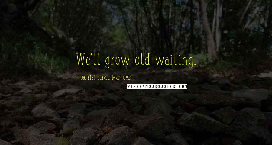 Gabriel Garcia Marquez Quotes: We'll grow old waiting.