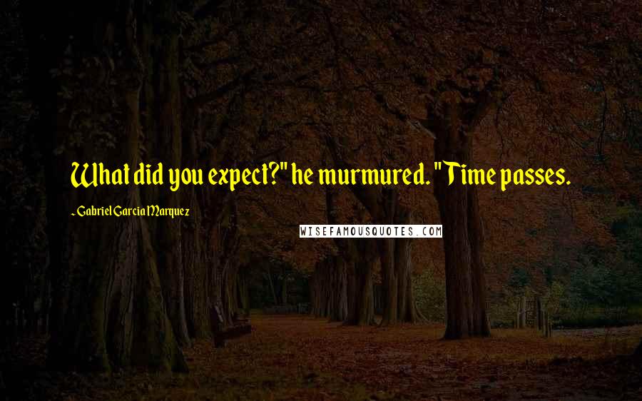 Gabriel Garcia Marquez Quotes: What did you expect?" he murmured. "Time passes.