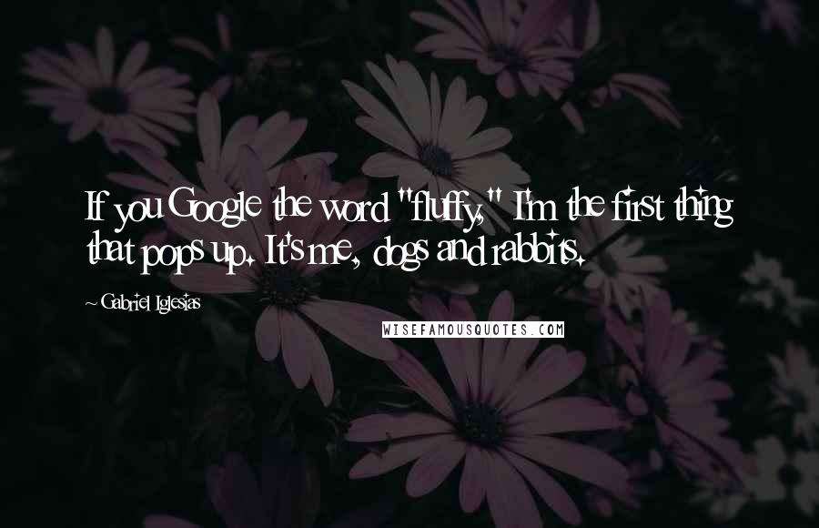 Gabriel Iglesias Quotes: If you Google the word "fluffy," I'm the first thing that pops up. It's me, dogs and rabbits.