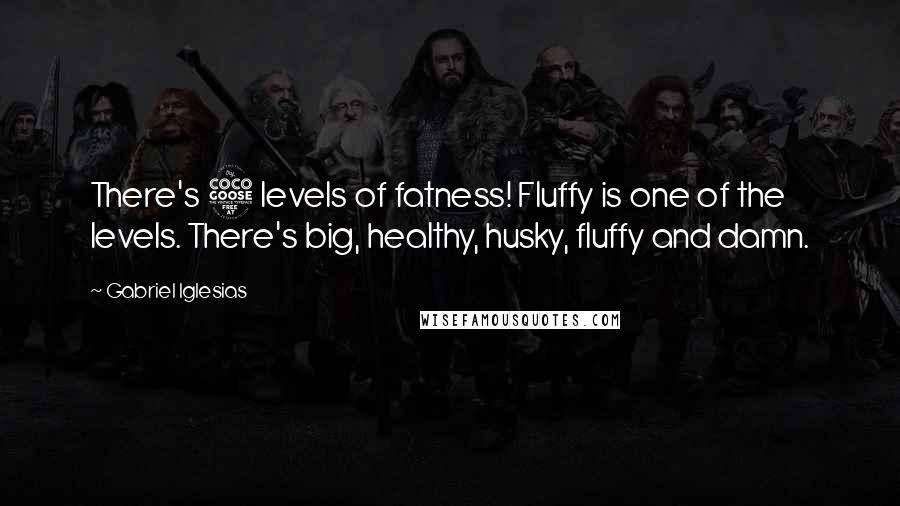 Gabriel Iglesias Quotes: There's 5 levels of fatness! Fluffy is one of the levels. There's big, healthy, husky, fluffy and damn.