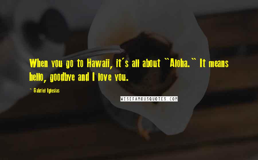 Gabriel Iglesias Quotes: When you go to Hawaii, it's all about "Aloha." It means hello, goodbye and I love you.