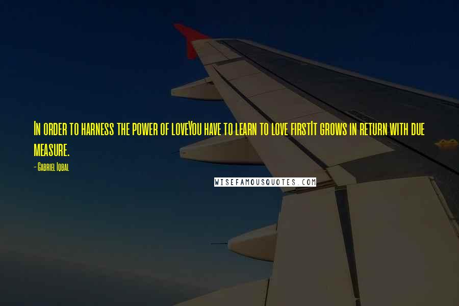 Gabriel Iqbal Quotes: In order to harness the power of loveYou have to learn to love firstIt grows in return with due measure.