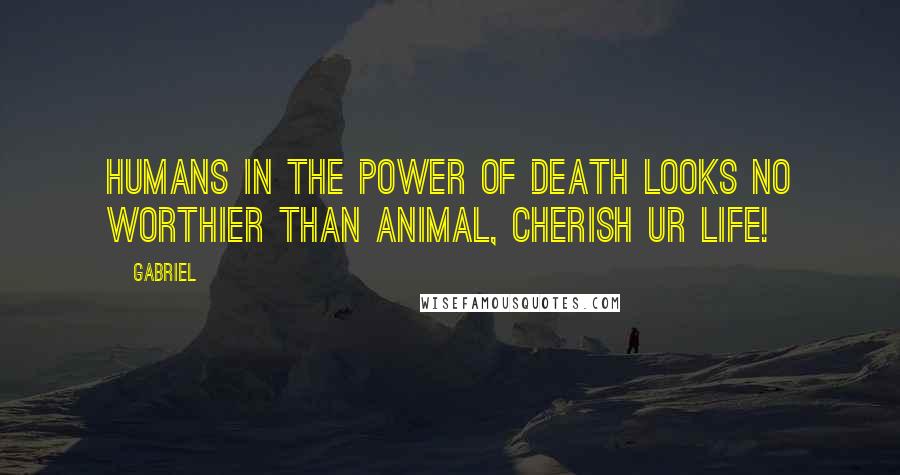 Gabriel Quotes: Humans in the power of death looks no worthier than animal, cherish ur life!