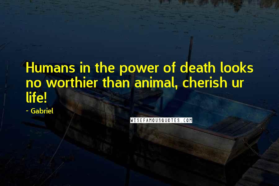 Gabriel Quotes: Humans in the power of death looks no worthier than animal, cherish ur life!