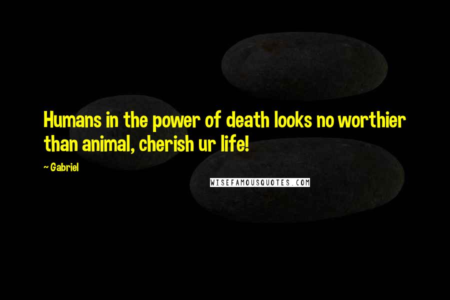 Gabriel Quotes: Humans in the power of death looks no worthier than animal, cherish ur life!