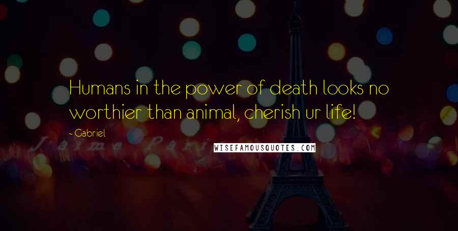 Gabriel Quotes: Humans in the power of death looks no worthier than animal, cherish ur life!