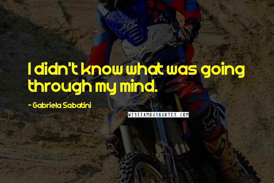 Gabriela Sabatini Quotes: I didn't know what was going through my mind.