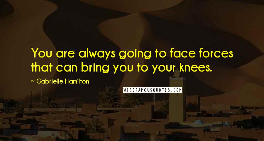 Gabrielle Hamilton Quotes: You are always going to face forces that can bring you to your knees.