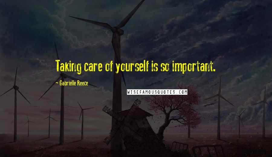 Gabrielle Reece Quotes: Taking care of yourself is so important.