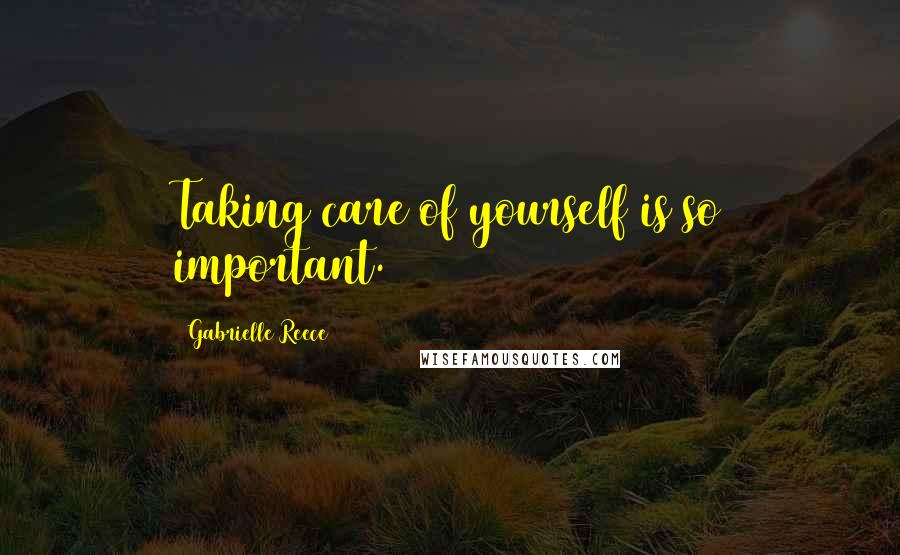 Gabrielle Reece Quotes: Taking care of yourself is so important.