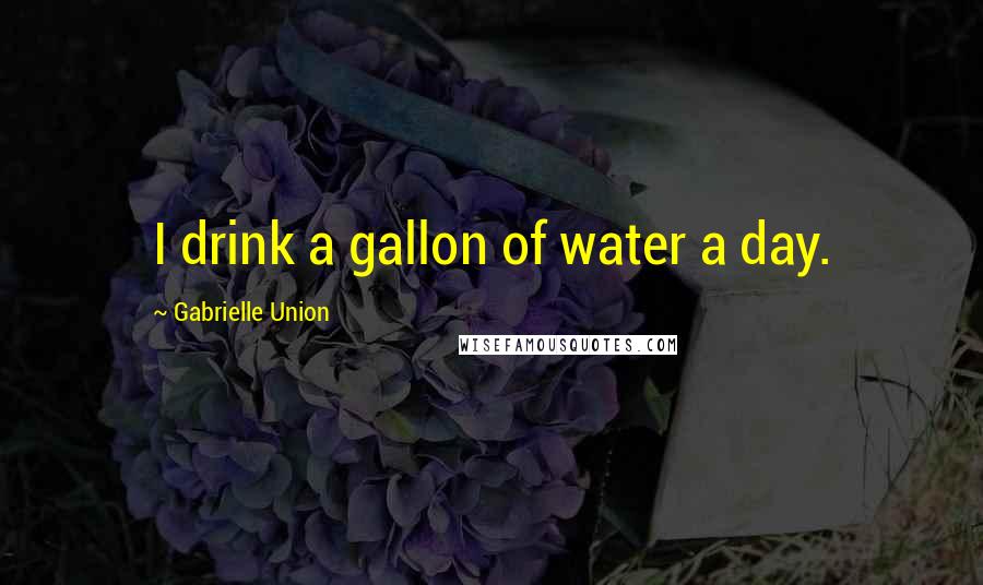 Gabrielle Union Quotes: I drink a gallon of water a day.