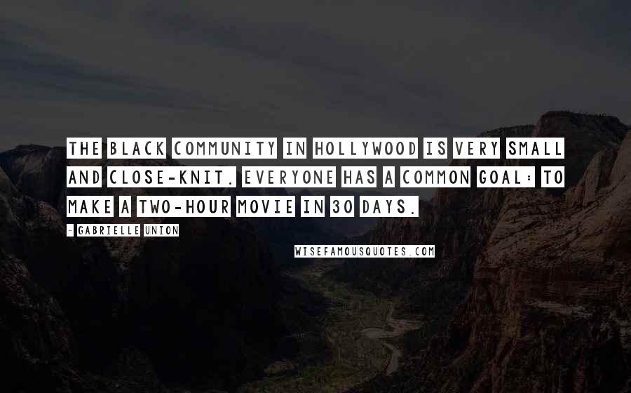 Gabrielle Union Quotes: The black community in Hollywood is very small and close-knit. Everyone has a common goal: to make a two-hour movie in 30 days.